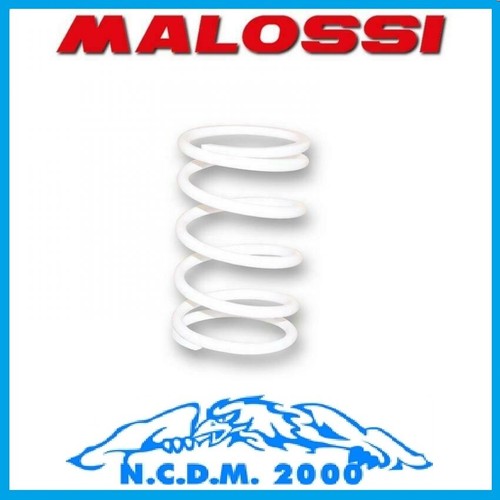 Molla malossi per variatore - per,