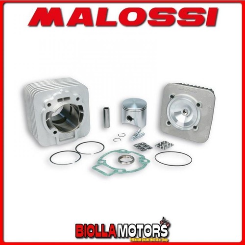 318237 gruppo termico - gruppo, malossi
