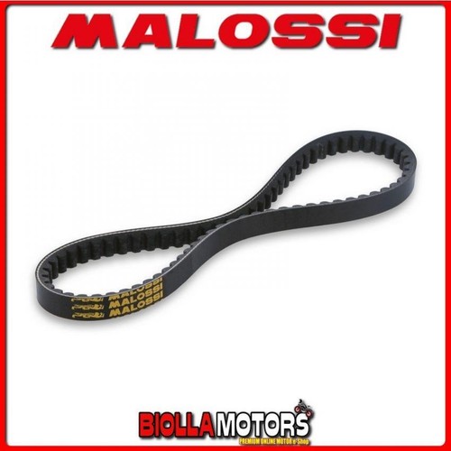 6117009 cinghia malossi - 6117009,
