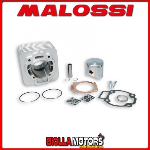 318236 gruppo termico malossi - gruppo,